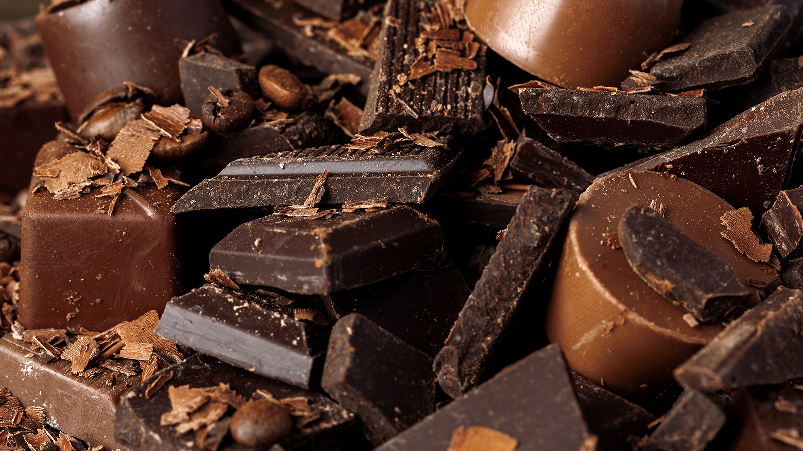 06 || Atelier Chocolate